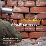 A jestli se nezabili.