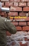 A jestli se nezabili.