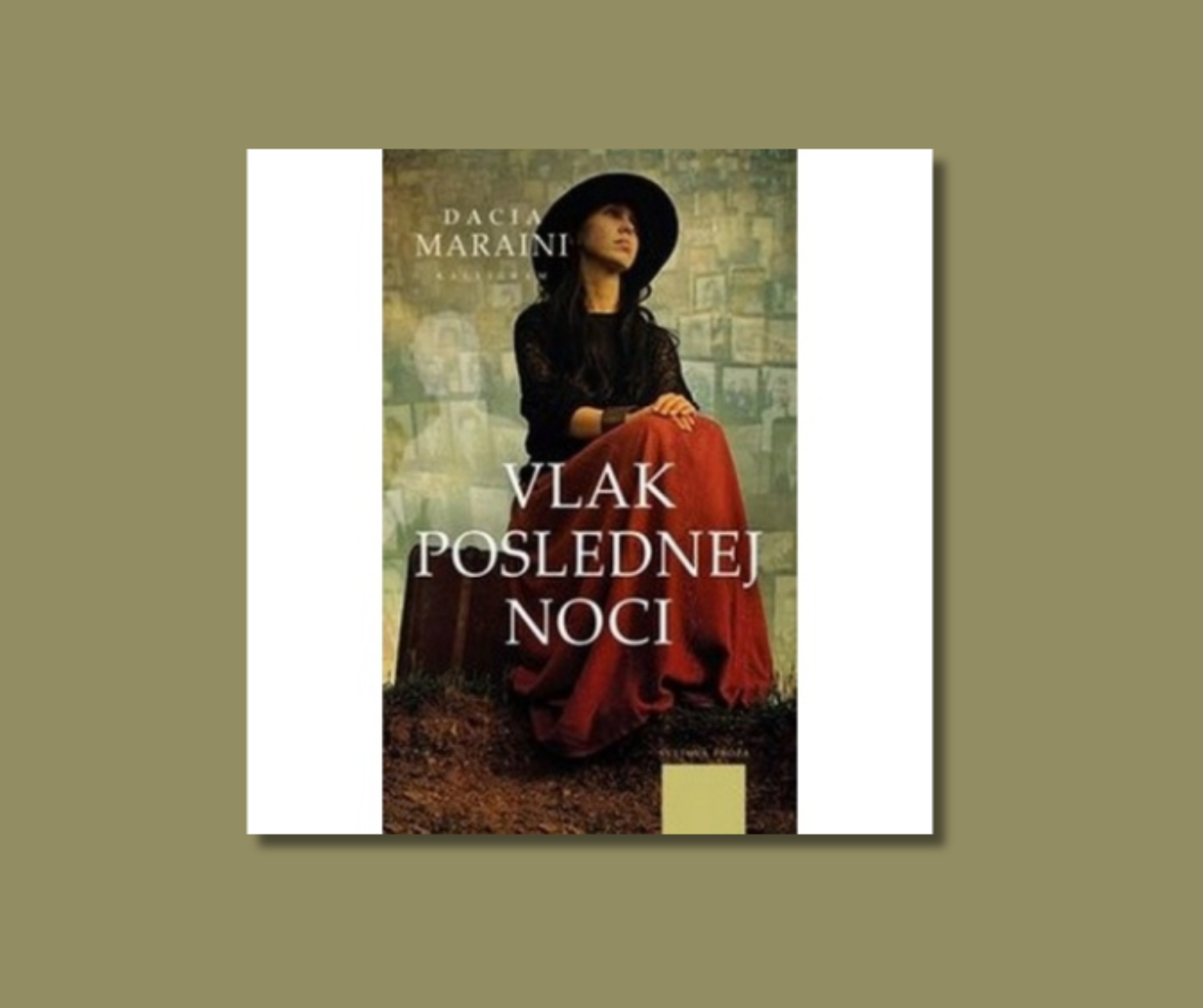 Vlak poslednej noci